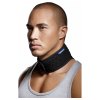 Revit Fluid Cooling Neck Collar